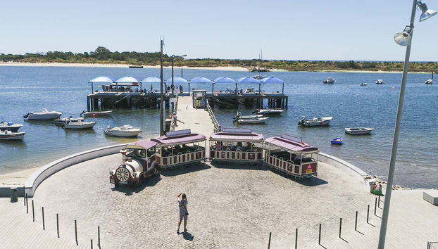 Profiter de la vue depuis le train