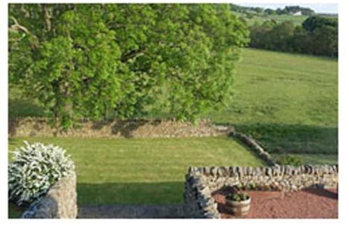 Yellow House - Foto 26