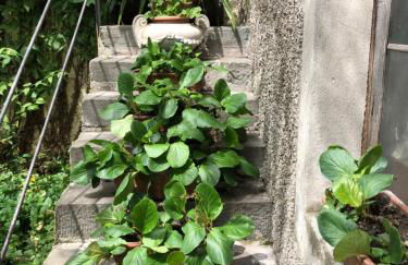 In Riva al Lago di Iseo Residenza Primo Piano - Foto 26