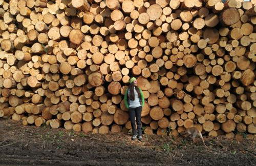 Casa Rural La Milagrosa - Photo 54