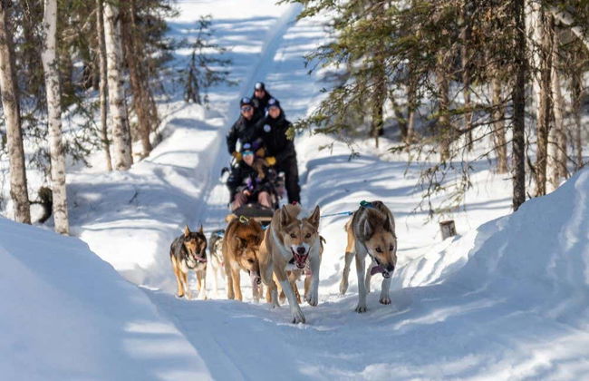 Paseo en trineo de perros husky en invierno - Foto 3