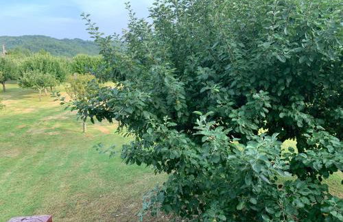 Superbe duplex les belles Rives Argentat bords Dordogne avec wifi - Foto 32