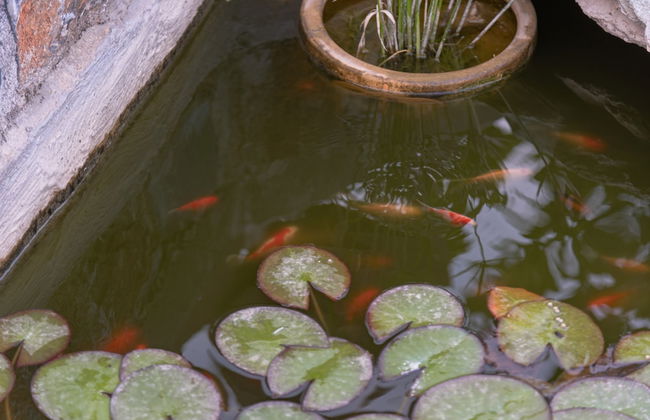 Villa Blue Vedere - Foto 41