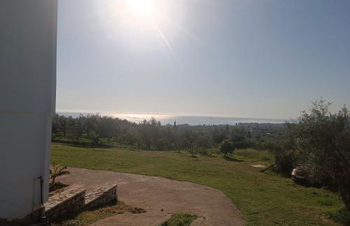 Blue & Green - Foto 17