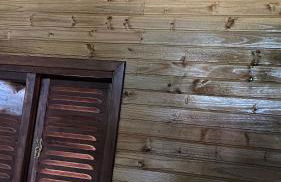 Cabana Bacana - Foto 21