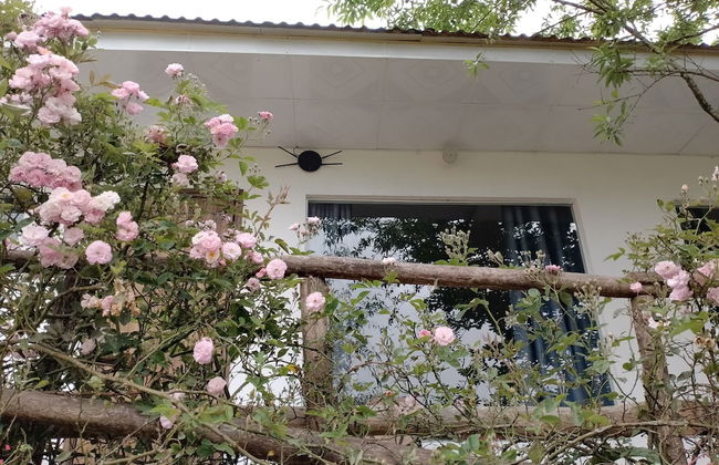 Tay Bac Sky Homestay - Foto 13