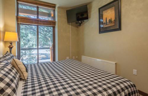 Solstice 6 - Photo 14