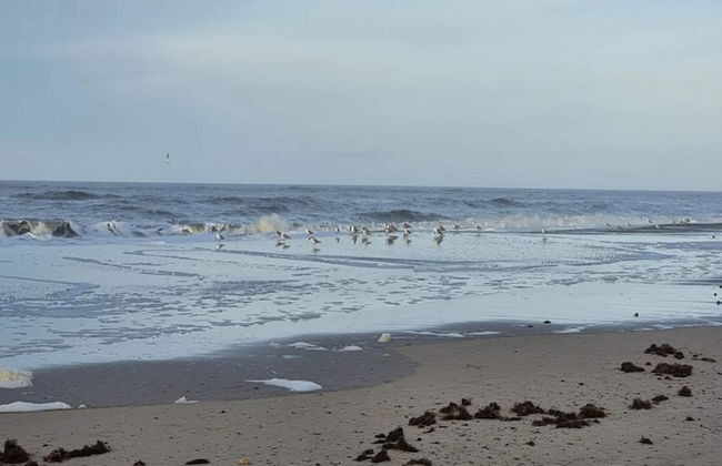 6 Person Holiday Home in Henne-by Traum - Foto 46