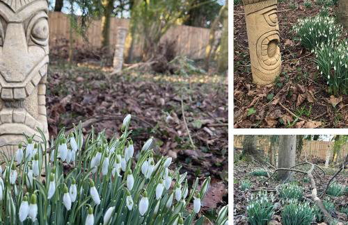 Crafter's Retreat luxury cabin on the Norfolk Cambridgeshire border - Foto 23