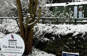 Shepherds hut, Eco, Log burner Hot tub NY moors - Foto 27