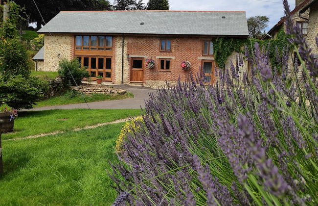 Hawley Farm Self Catering Holiday Accommodation - Foto 30