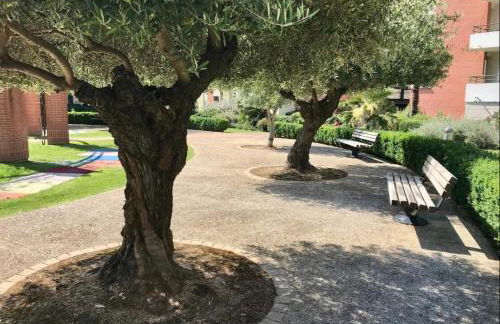 L Oasis studio proche hôpital et aéroport Piscine Parking &Netflix - Foto 19