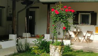 Il Bagolaro - Foto 3