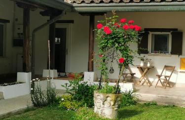 Il Bagolaro - Foto 3