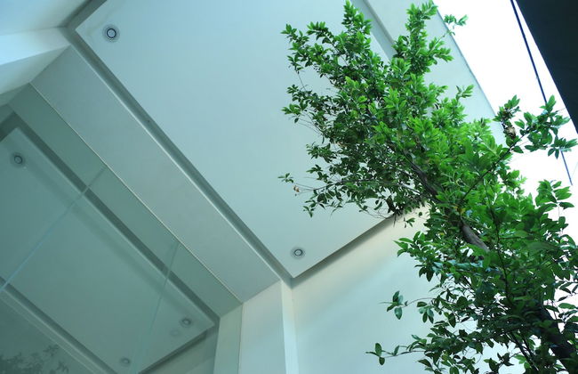 Departamento Céntrico Guadalajara - Foto 3