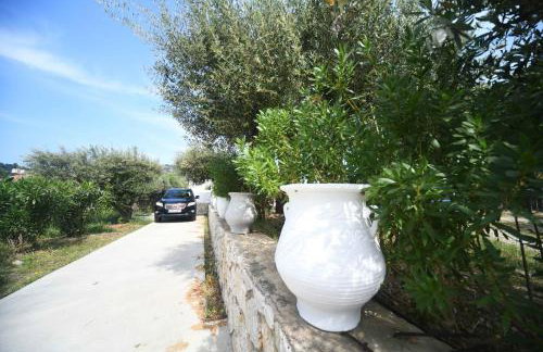 Olive garden house - Foto 32