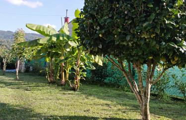 LA CAMELIA - Foto 48