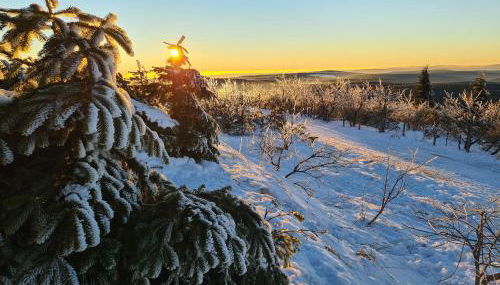 Apartment fewobaerenstein - Foto 2