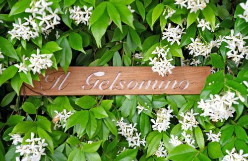 Miniappartamento Il Gelsomino - Foto 8