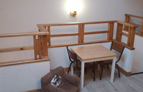 Duplex 3 Pièces avec Piscine à Saint-Jean-d'Aulps, 6 Pers - FR-1-573-25 - Foto 16