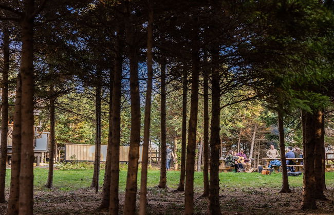 Wild Pines Cabins - Photo 28