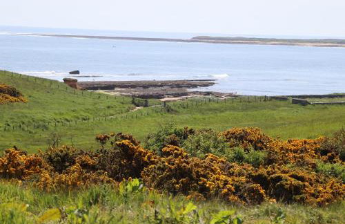 Seaview Howick - Foto 34