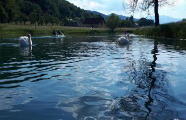 Apartman Borna - Foto 31