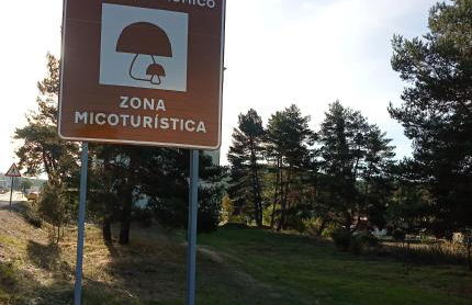 El descanso de las hadas - Foto 7