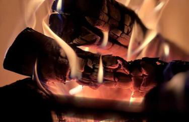 Casa na Floresta - 50 min do Rio - Foto 10