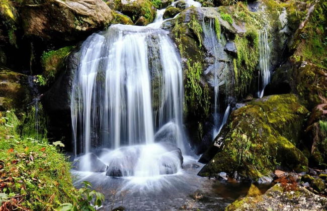 Ferienhaus in Brigach - Foto 38