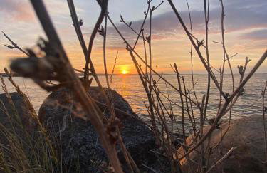 Czarna Perła - Foto 39