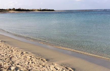 Dimora Onda Verde - Foto 48