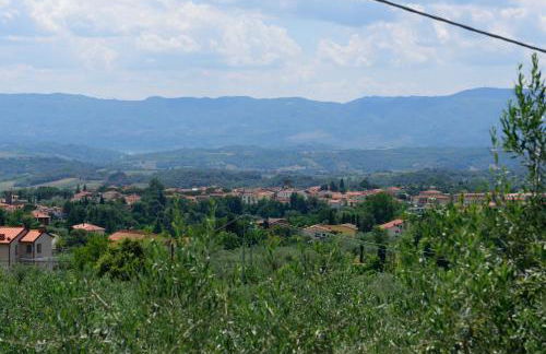 Agriturismo La Casuccia - Foto 70