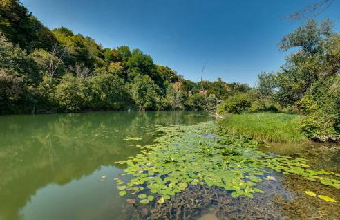 Stunning Home In Ladvenjak With Sauna - Foto 30