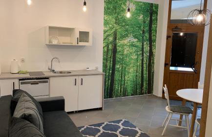 Apartamenty Stacja - Foto 14