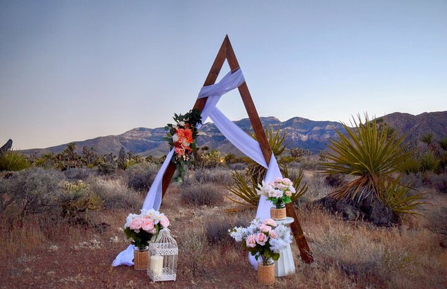 Las Vegas Scenic Wedding Ceremonies - Photo 3