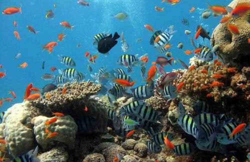 Lifestyle Disneyland Paris 8 PAX - Foto 50