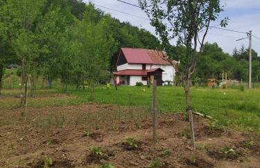 Holiday House Trnovac - Photo 34