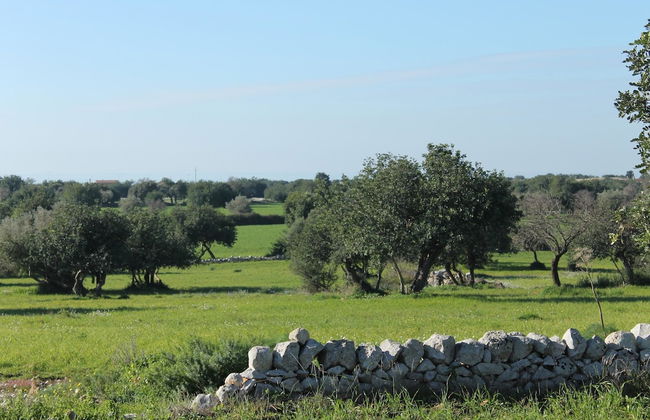 Le Chiuse di Guadagna - Foto 34