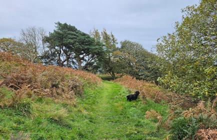 Folly View - Private, peaceful apartment with stunning views. - Foto 31