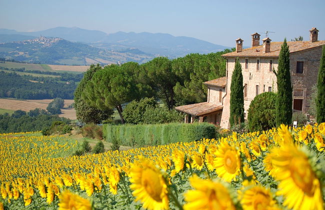 Agriturismo Casale dei Frontini - Foto 67