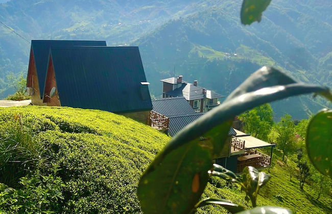 CELAZENİ BUNGALOV - Foto 34