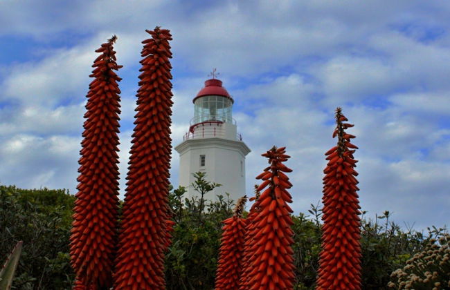 Walkerbay Accommodation - Foto 45