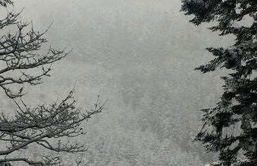 Plas Canol, elegant home in Snowdonia village - Foto 4