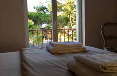 Romã do Meco - Foto 32