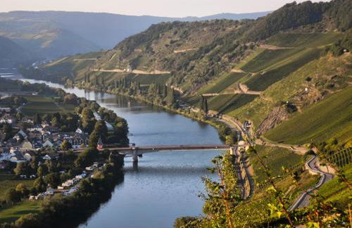 Garden Eden - Foto 22