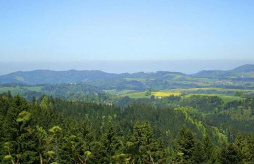 Ferienwohnung im Schwarzwald mit Garten - Foto 74