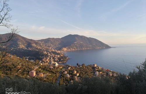 Dependance Belvedere - Foto 31