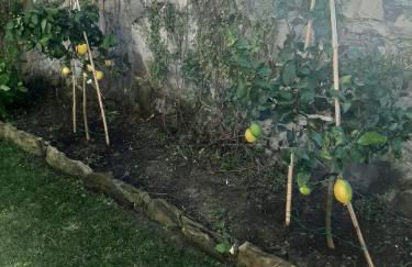 Casa Angelo - Foto 38