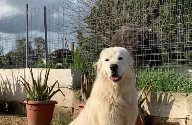 CASALE SOFIA E MARIAGIULIA - Foto 6